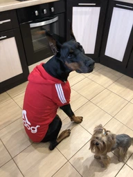 Толстовка для собак Adidog L Рожевий