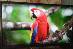 Монитор 27" LG UltraFine 27UL500-W -- 4К IPS / 8-Bit+FRC / sRGB 99% / HDR10 / AMD FreeSync / Flicker-Free фото от покупателей 7