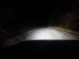 Світлодіодні автолампи H10 Carlamp Night Vision Gen2 Led для авто 5500K 5000 Lm (NVGH10)