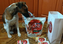 Вологий корм для собак малих порід із зайвою вагою Purina One Mini Weight control pouch 100 г (індичка) фото от покупателей 15