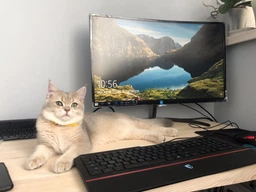 Монитор 27" Philips 278E8QJAB/01 фото от покупателей 9