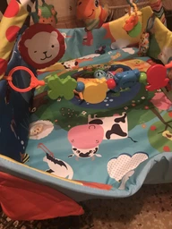 Розвивальний килимок Lionelo Anika (LO.AN01) (5902581654175)