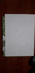 Книга канцелярська Buromax Floristica A4 в клітинку 192 аркуші Зелена (BM.24419101-04)