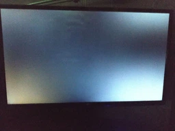 Монитор 23.8" LG 24MP59G-P фото от покупателей 11