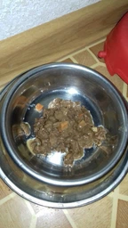 Вологий корм для собак малих порід Purina One з яловичиною картоплею та морквою в підливці пауч 85 г 1 шт (8445290298287) фото від покупців 3