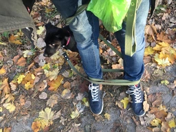 Повідець х/б тасьма Collar Брезент (ширина 25 мм, довжина 500 см) (0506Collar) фото від покупців 9