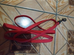 Поводок для собак водостойкий Collar WAUDOG Waterproof, S, Ш 15 мм, Дл 183 см (27355) фото от покупателей 11