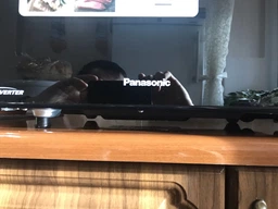 Мікрохвильова піч PANASONIC NN-DF383BZPE фото від покупців 12