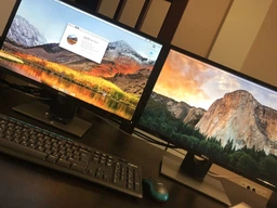 Монитор 24" Dell SE2416H Silver-Black (210-AFZC) фото от покупателей 7