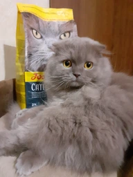 Сухой корм для привередливых кошек для выведения шерсти Josera Catelux, 10 кг