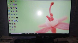Монитор 23.8" BenQ BL2480 (9H.LH1LA.CBE) фото от покупателей 16