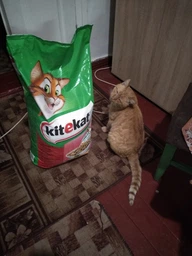 Сухий корм для котів Kitekat яловичина з овочами 300 г. (5900951248818) фото від покупців 4