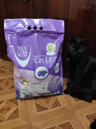 Наповнювачі для туалету VanCat Lavender Бентонітовий наповнювач з ароматом Лаванди для котячого туалету 5 кг (55448) фото від покупців 13