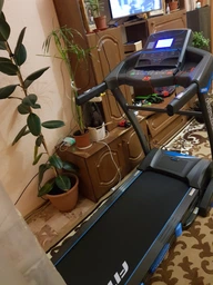 Бігова доріжка FitLogic T33 фото від покупців 13