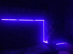 Комплект - cветодиодная лента RGB 5050 от сети 220в + пульт ДУ ( 300 LED 5м ) ( SMD 5050 ) фото от покупателей 4