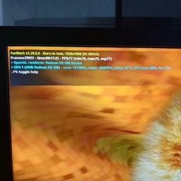 Видеокарта XFX PCI-Ex Radeon RX 590 FATBOY OC+ 8GB GDDR5 (256bit) (1600/8000) (DVI, HDMI, 3 x DisplayPort) (RX-590P8DFD6) фото от покупателей 1