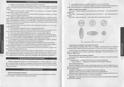 Краскопульт электрический Miol HVLP 600Вт 1,8мм (79-560) фото от покупателей 11