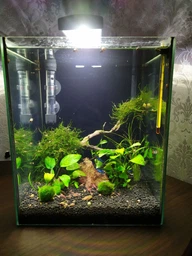 Внешний фильтр AquaEl VersaMAX FZN-Mini для аквариума до 40 л (5905546191302) фото от покупателей 2