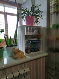 Ящик деревянный белый с полкой ECO WoodBox(ДхШхВ:50*40*24см) фото от покупателей 7