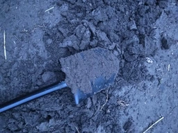 Лопата штикова Fiskars Solid фото від покупців 13