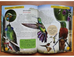 Книга Мир вокруг нас. Дикие животные укр Crystal Book F00020861 фото от покупателей 1