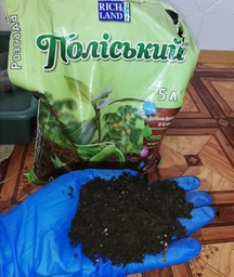 Торфяной субстрат Поліський для рассады 5 л 4 шт (2017112433) фото от покупателей 3