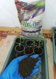 Торфяной субстрат Flora Plus универсальный 7 л 3 шт (2017112469) фото от покупателей 1