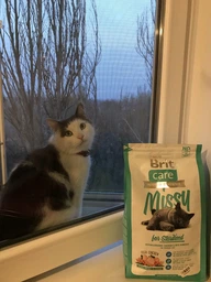 Корм для котів Brit Care Missy 2кг 132625/5739 фото від покупців 8