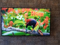 Телевизор Samsung QE55Q77RAUXUA фото от покупателей 5