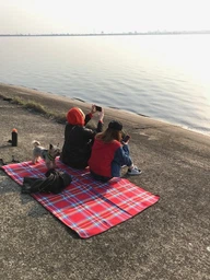 Килимок для пікніка KingCamp Picnik Blanket (KG8001)(red)