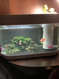 Аквариум Xiaomi Geometry Fish Tank Aquaponics Ecosystem 10 л White HF-JHYG001 (2001000011650) фото от покупателей 15