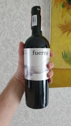 Вино Ego Bodegas Fuerza червоне сухе 0.75 л 14.5% (8437013527033)