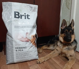 Сухий корм для собак Brit GF VetDiets Dog Mobility 2 кг (8595602528257)