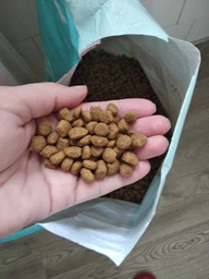 Сухий корм Dog Chow Puppy для цуценят з ягням 2.5 кг фото від покупців 11