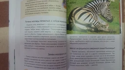 Мамы и малыши - Цеханская А.Ф.,Стрелков Д.Г. (на русском языке) (9786176951018) фото от покупателей 1