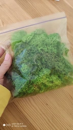 Стабилизированный мох ягель Nordic moss Зеленый травяной светлый 100 грамм