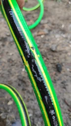 Шланг поливочный Cellfast Green ATS2 25 м 3/4" (64181/15-120) фото от покупателей 6