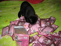 Упаковка влажного корма для котят Purina One Junior с лососем и морковью 26х85 г (7613287901965) фото от покупателей 3