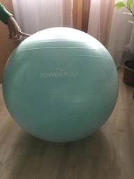 Мяч гимнастический PowerPlay 4001 65 см + насос Grey (PP_4001_65_Grey)