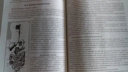 Біологія: довідник для абітурієнтів та учнів загальноосвітніх навчальних закладів (9789661786317)
