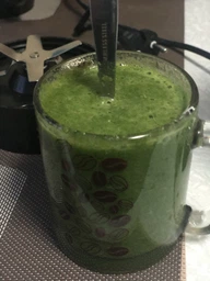 Блендер Esperanza NUTRI MASTER NutriBlender EKM028 серебристый