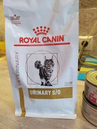 Корм для дорослих котів ROYAL CANIN URINARY S/O CAT 1.5 кг