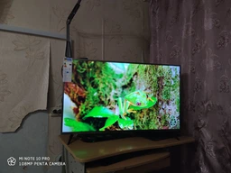 Телевізор Xiaomi Mi TV 4S 43" UHD 4K (L43M5-5ARU) (Міжнародна версія) фото від покупців 4