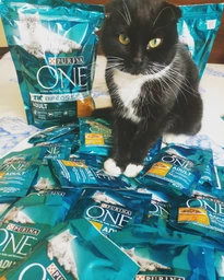 Сухий корм для стерилізованих кішок Purina One Sterilcat з куркою 1500 г фото від покупців 17