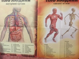 Энциклопедия для любознательных О теле человека фото от покупателей 6