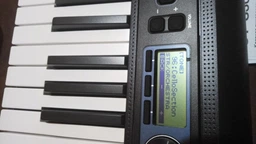 Синтезатор Casio CT-S300 Black (CT-S300C7) фото от покупателей 7