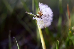 Canon EF 50mm f/1.8 STM фото от покупателей 5