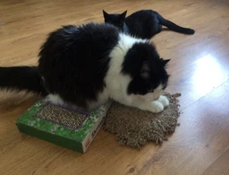 Flamingo Carton Cat Scratcher когтеточка для кошек, наВесная, картон, с кошачьей мятой 47,5х23,5х4 см фото от покупателей 1