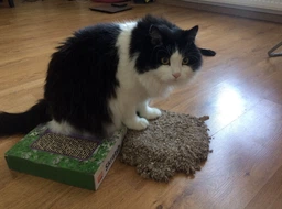 Flamingo Carton Cat Scratcher когтеточка для кошек, наВесная, картон, с кошачьей мятой 47,5х23,5х4 см