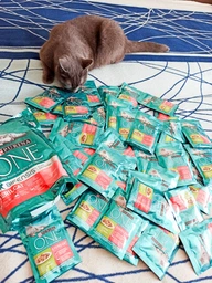 Сухой корм для взрослых стерилизованных кошек Purina One Sterilcat с говядиной 1.4 кг (8445291792401) фото от покупателей 14